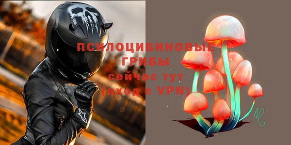 молекула духа Волоколамск