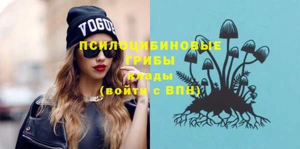 ГАЛЛЮЦИНОГЕННЫЕ ГРИБЫ Володарск