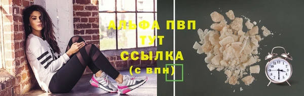 стаф Вязьма