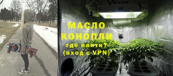стаф Вязьма