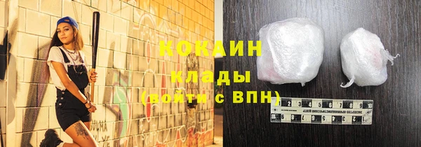 стаф Вязьма
