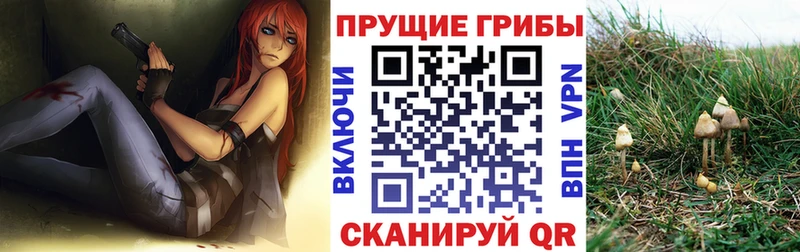 Галлюциногенные грибы Magic Shrooms  Елабуга 